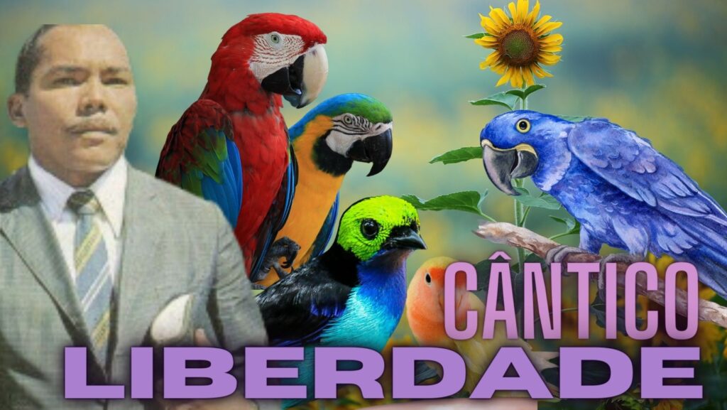 SEU CANTO DEIXA SAUDADE - BRASIL MAIOR - CÂNTICO DA LIBERDADE...