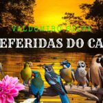 Os clássicos de Valdomiro Silva