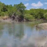 local histórico da Foz do Rui Curu onde o fato aconteceu