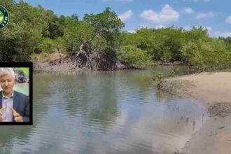 local histórico da Foz do Rui Curu onde o fato aconteceu