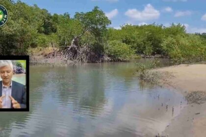 local histórico da Foz do Rui Curu onde o fato aconteceu
